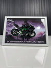 Kawasaki Ninja H2R | Bike Scale 1:12 | 3D Diecast Frame | Bikes Wall Art